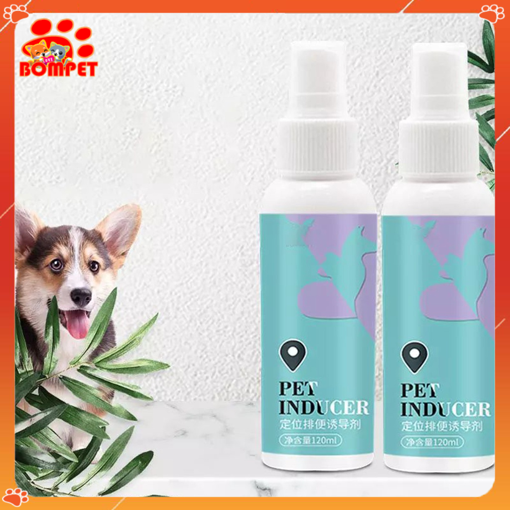 Xịt Hướng Dẫn Đi Vệ Sinh Đúng Chỗ Dành Cho Chó Mèo - Pet Inducer 120ml - BomPet