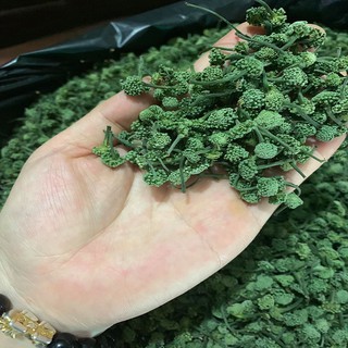 Nụ Tam Thất bao tử 500Gram