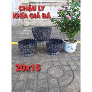Chậu nhựa ly khía