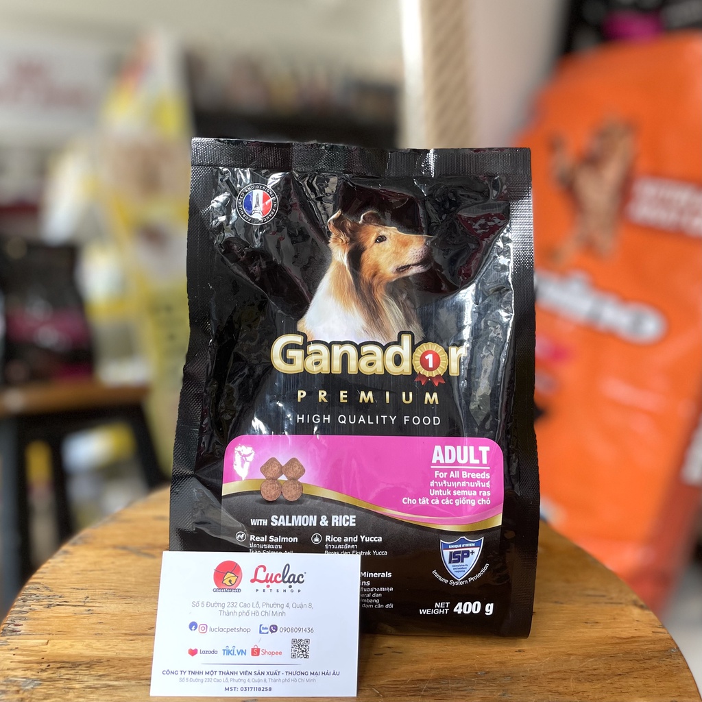 Hạt Ganador Premium Adult cho Chó trưởng thành vị Cá hồi &amp; Gạo - Túi 400gr