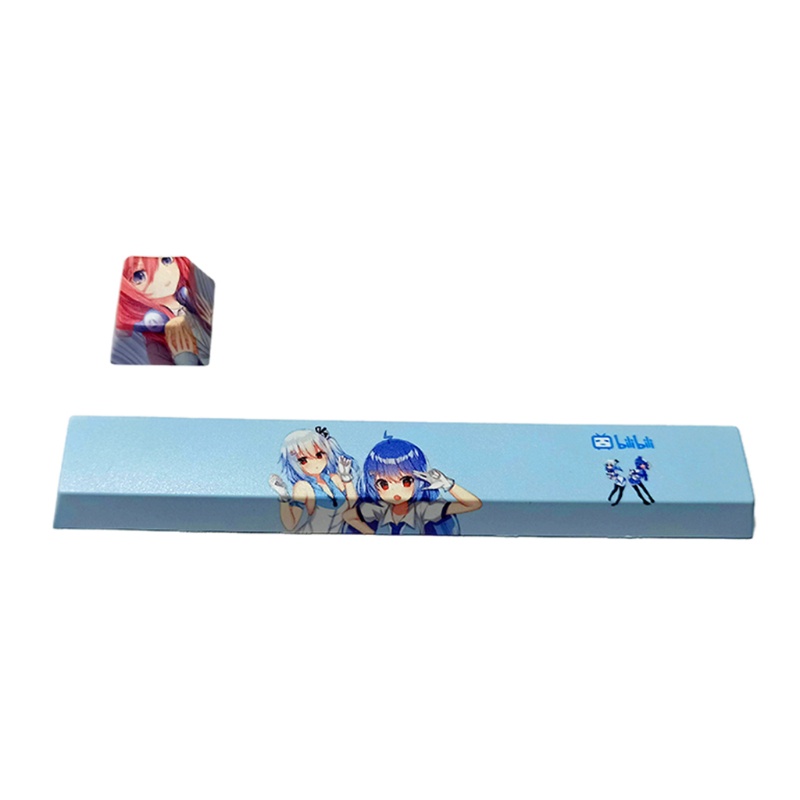 Bộ 2 Nút Bàn Phím Cơ Pbt 6.25u + R4 Cho Bàn Phím Cơ Cherry Profile