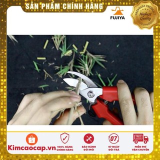 KÉO CẮT FUJIYA AGS-037