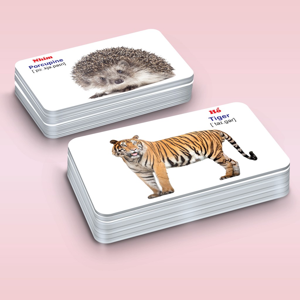 Sách Thẻ học Flashcard - Bộ Thẻ Học Thông Minh (416 Thẻ Flashcards Tiếng Anh 16 Chủ Đề)