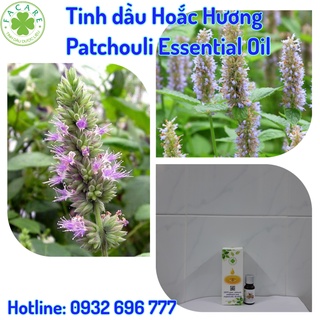 Tinh dầu Hoắc Hương Patchouli essential oil giúp thư giãn, thanh lọc không khí hiệu quả - 10ml/50ml/100ml