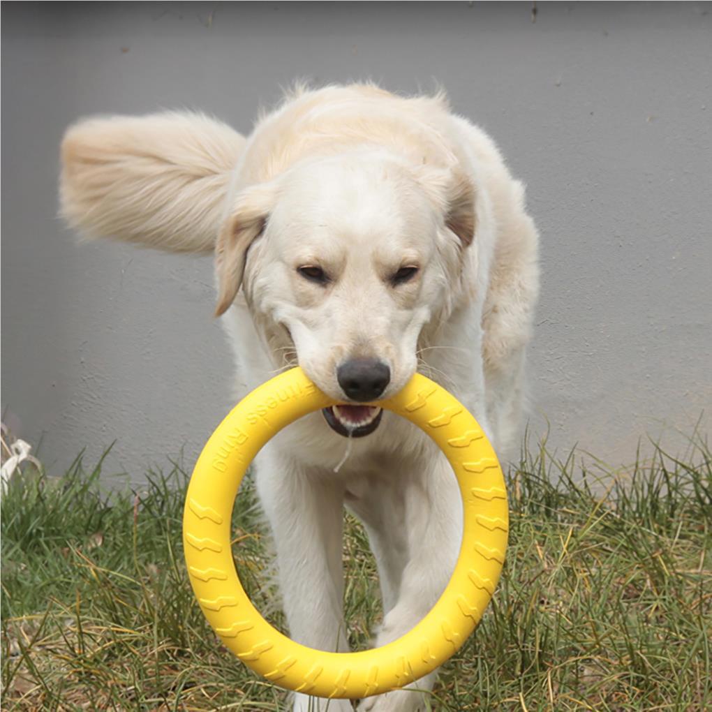 Đồ Chơi Nhai Cắn Ngoài Trời / Trong Nhà / Ngoài Trời Dành Cho Thú Cưng