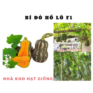 - giống bí đỏ hồ lô f1