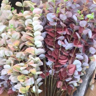 Cành lá táo điểm nhiều màu