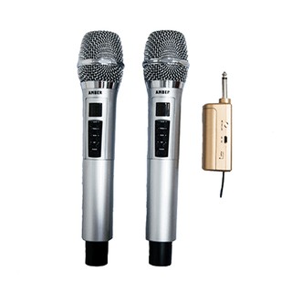 Micro Không Dây Tích Hợp Echo Amber Z1