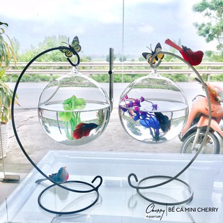[Tặng kèm phụ kiện ] combo 2 bể cá mini 33