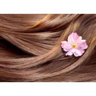 👩‍🦰 BỘT NHUỘM TÓC HENNA