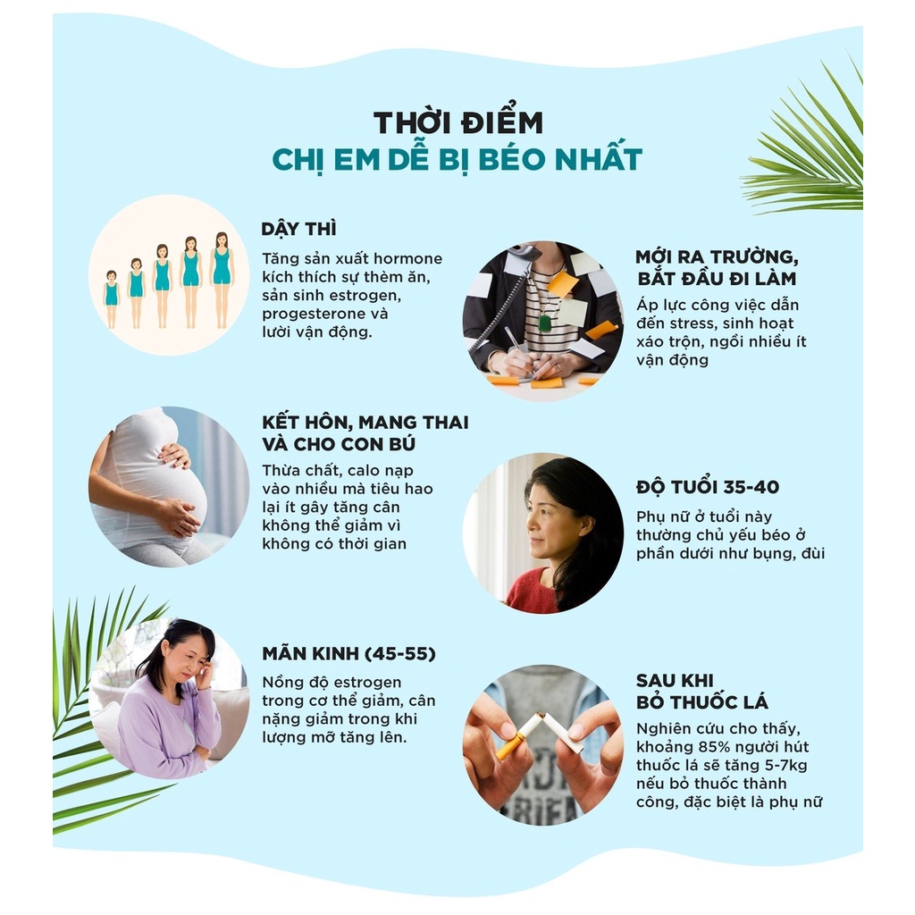 [Gói 30 ngày] Viên uống Giảm cân bổ sung Dầu dừa DHC FORSKOHLII (60v/gói)