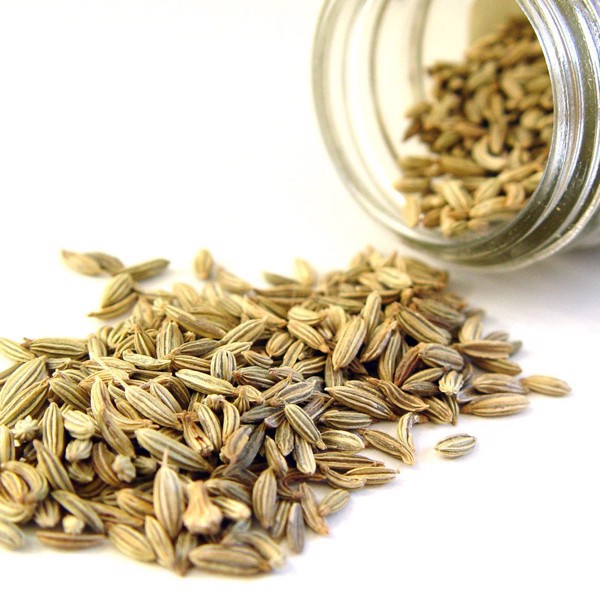 Hạt Tiểu Hồi Hương nhập-Fennel seed