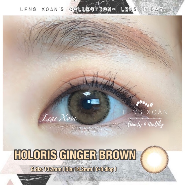 LENS 1 NGÀY HOLORIS GINGER BROWN