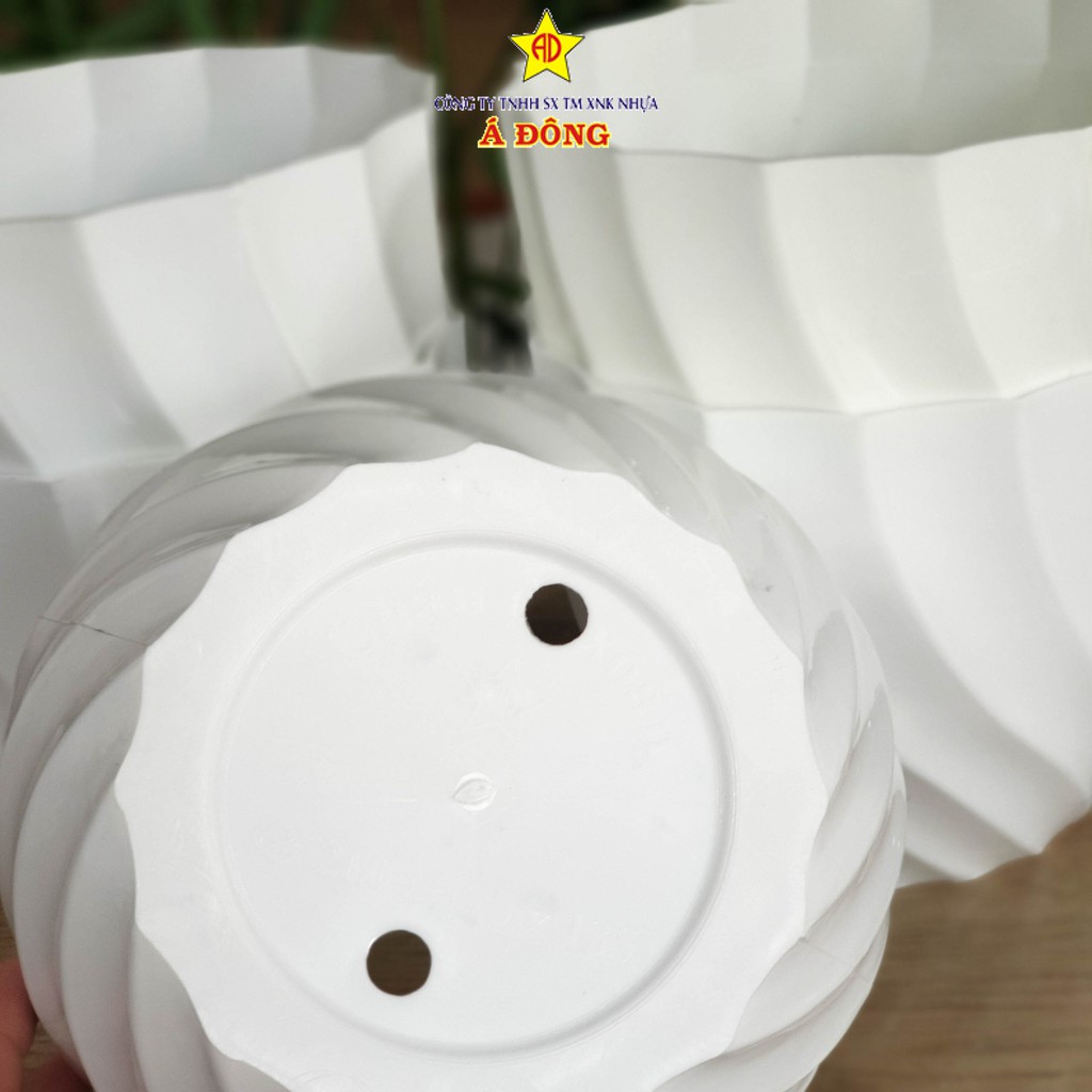 Chậu Ốc Xoắn 21cm - Chậu Nhựa Á Đông - Bán chậu cây cảnh TPHCM