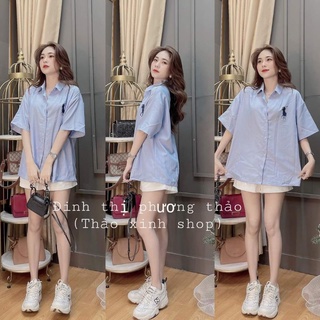 set áo sơ mi xanh thêu ngựa kèm quần short trắng