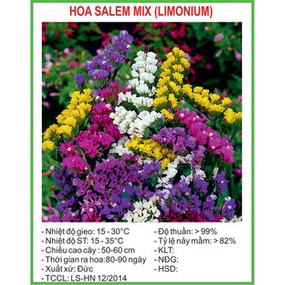 Hạt Giống Hoa Salem mix 100 Hạt/ Gói