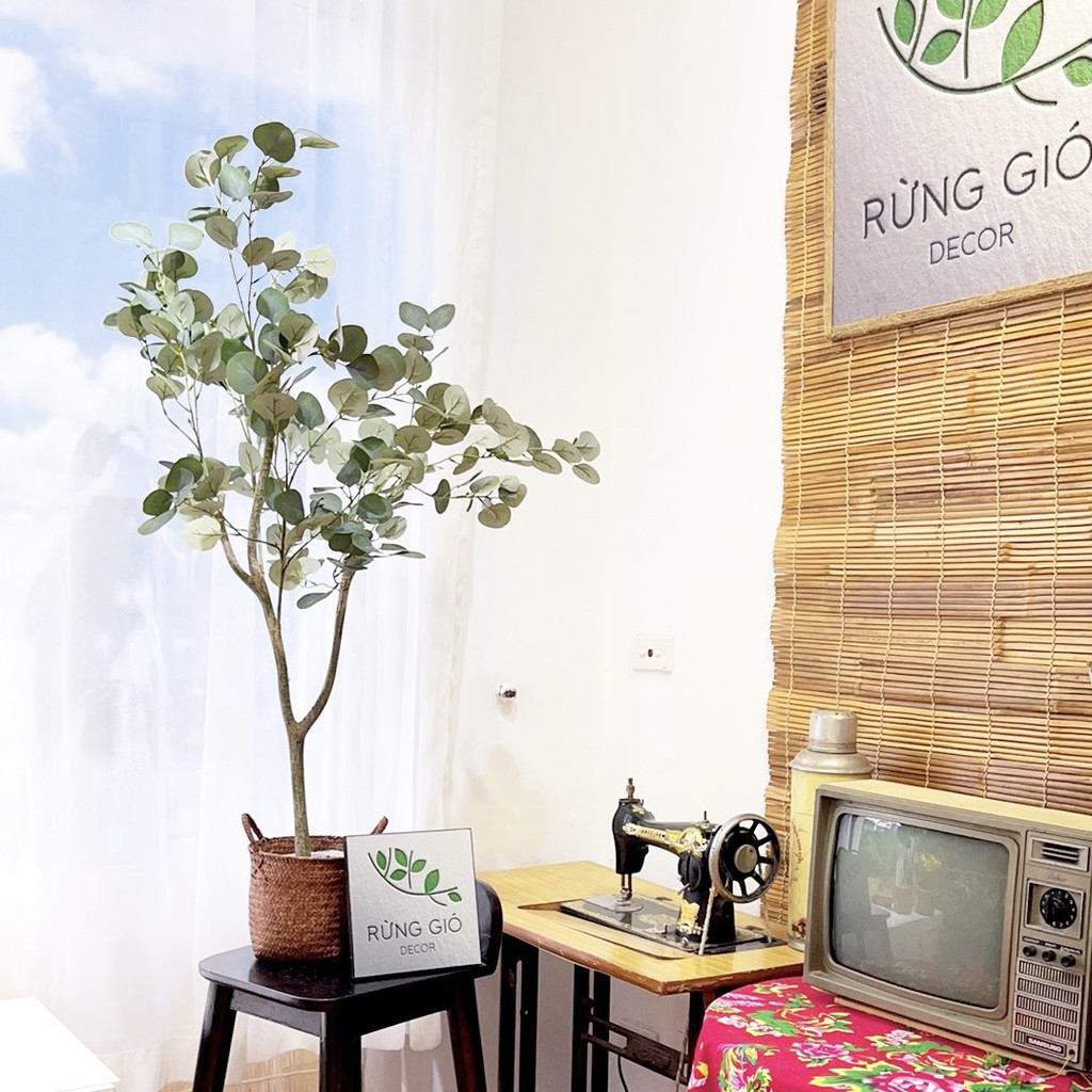 Cây Lá Táo, Bạch Đàn giả trang trí - Decor ngôi nhà đẹp hơn