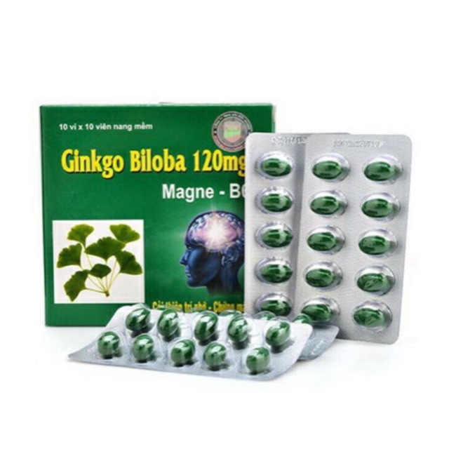 [Bảo Lâm ] - (Nhà Thuốc) Ginkgo Biloba 120mg Bổ Sung Dưỡng Chất Cho Não 100 viên