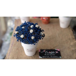 Lọ hoa Babi Bloom để bàn nhỏ