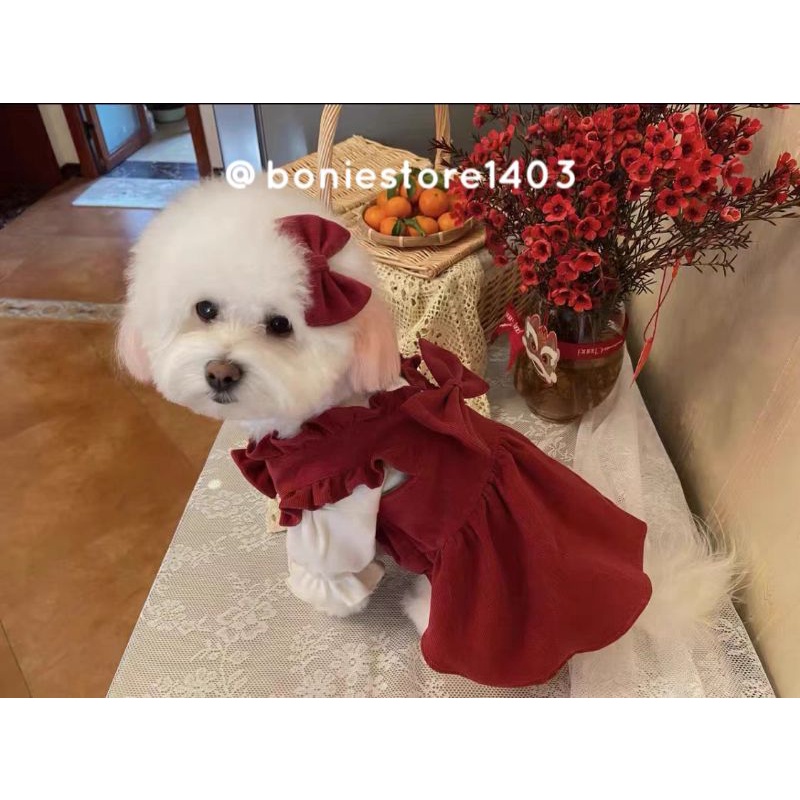 Set Áo Yếm Chó Mèo Thú Cưng Kèm Nơ Cài Đầu Màu Đỏ Dễ Thương