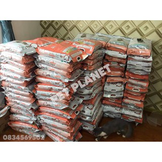 [Mã PET50K giảm Giảm 10% - Tối đa 50K đơn từ 250K] [Hoả Tốc] Thức ăn mèo Hàn Quốc Catsrang 5kg