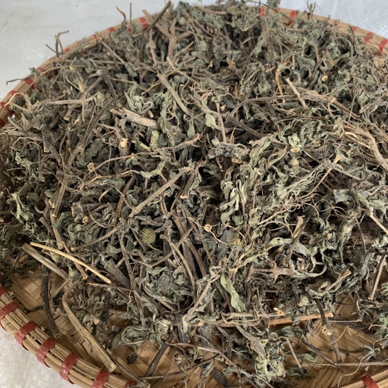 Thảo dược cây Cỏ Mực khô [Nhọ Nồi] khô