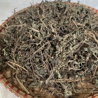 Thảo dược cây Cỏ Mực khô khô