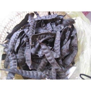 Bồ kết khô