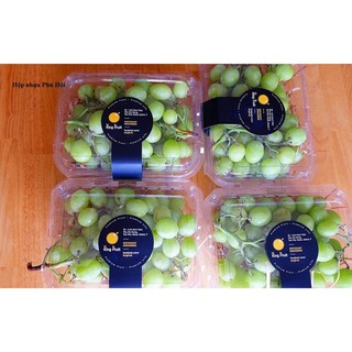 280 hộp nhựa đựng nho chùm trái cây P1000C-2015