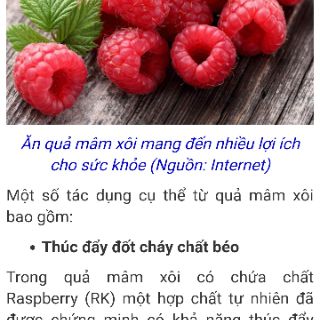 5 cây giống mâm xôi