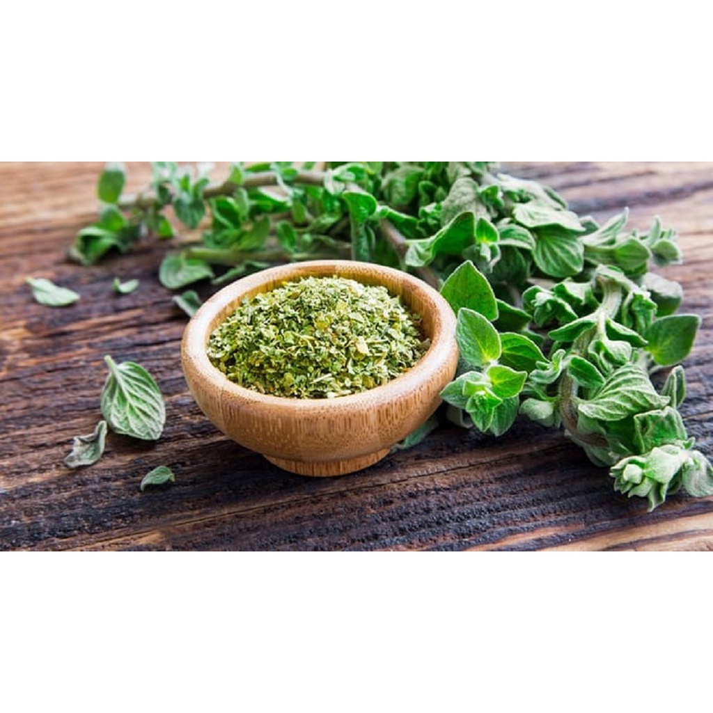 [Lọ nhỏ 10g - OREGANO LEAVES] LÁ KINH GIỚI KHÔ (Gia vị thực phẩm) [Turkey] MCCORMICK (anm-hk)