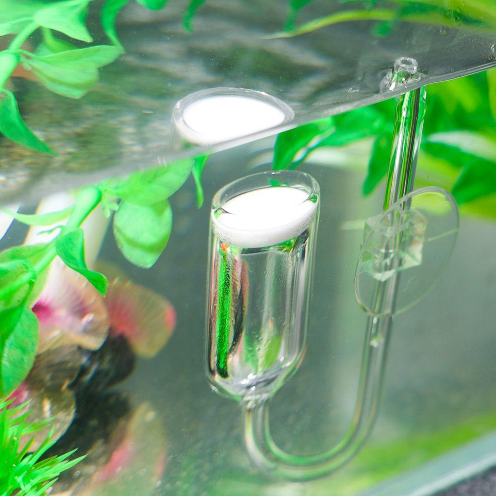 Máy Khuếch Tán Tinh Dầu Co2 Đáy Tròn Bằng Carbon Dioxide LAYOR1 Cho Bể Cá