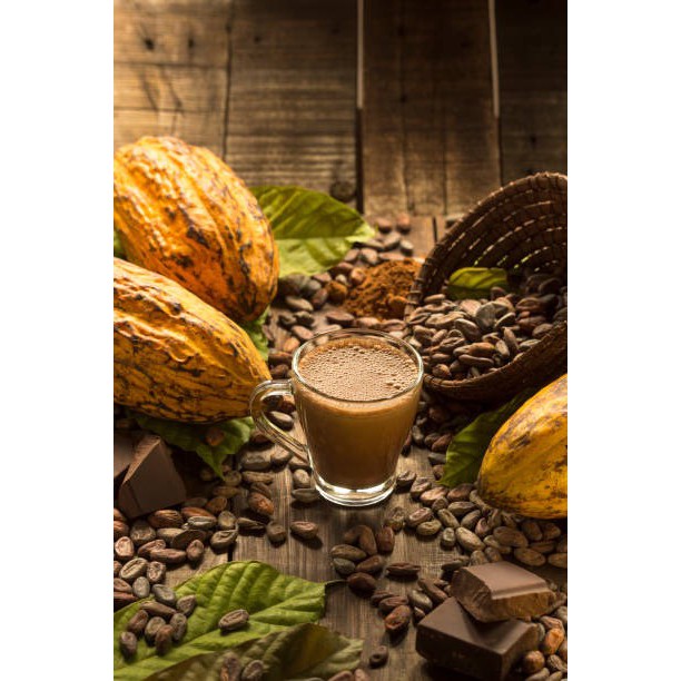 CACAO 😍 VIETSOUL - LINH HỒN CACAO VIỆT