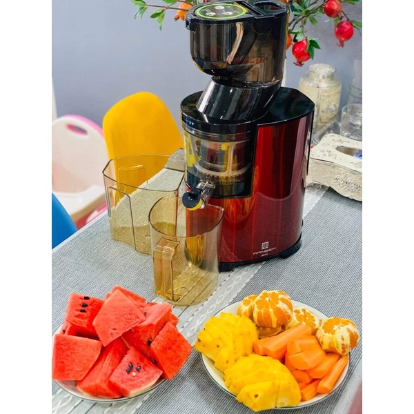 Máy ép chậm RANBEM