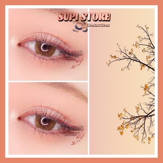 BST Lens Tây - Tự Nhiên được yêu thích nhất 2021