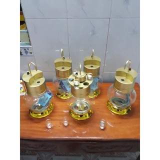 bình rót rượu tự động