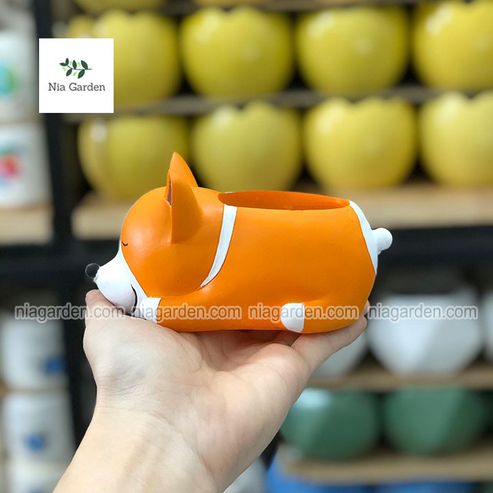 Chậu chó Corgi cam trồng sen đá xương rồng mini để bàn Nia Garden N4