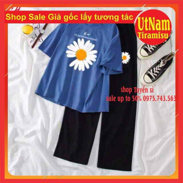 Sét áo phông hoa cúc tia sét + quần