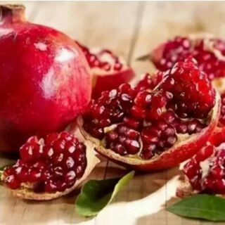Cây giống lựu Ấn Độ.