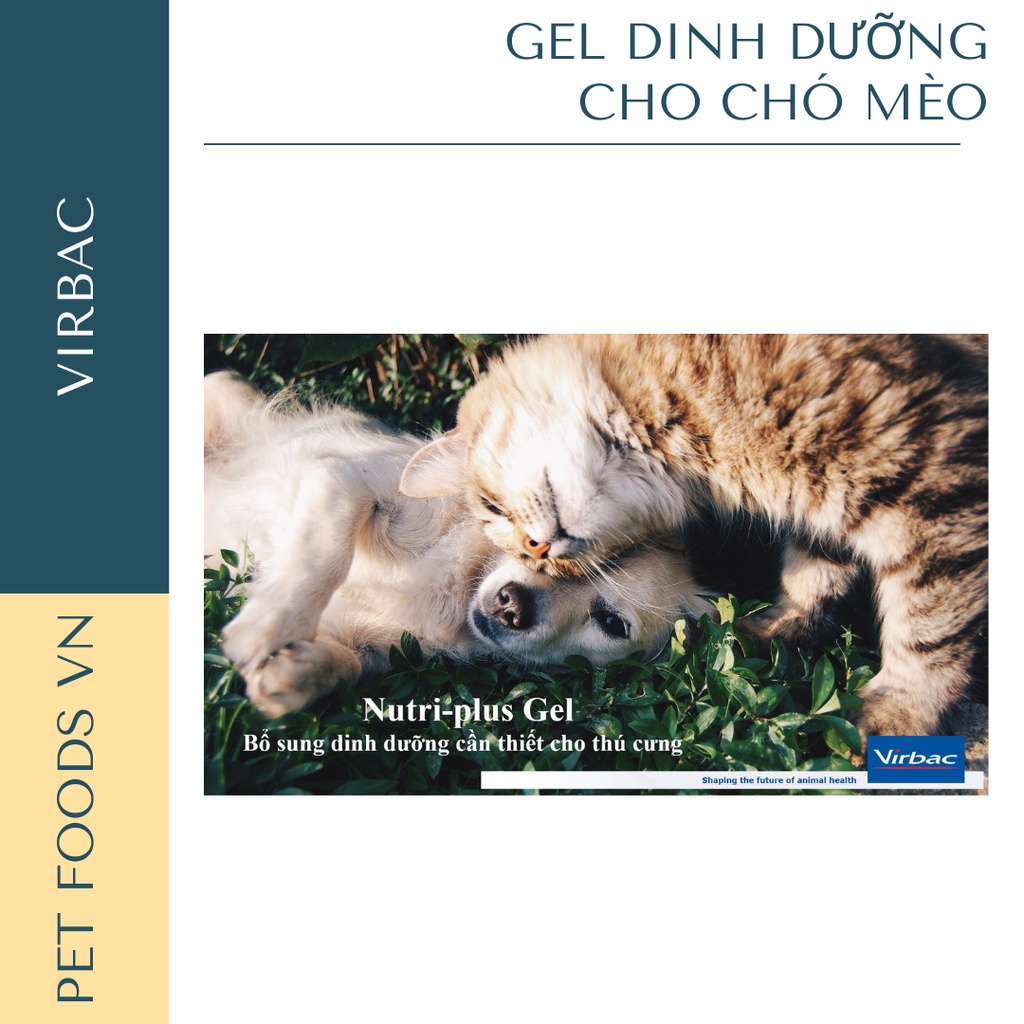 Gel dinh dưỡng cho chó mèo VIRBAC Nutri-plus Gel 100g