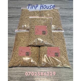 🐰 cám thỏ mỹ 5oog 🐰
