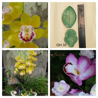 Gân hoa đất set- gân cánh hoa địa lan 2 cánh