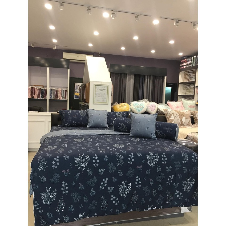 Ga phủ Everon EPM19067