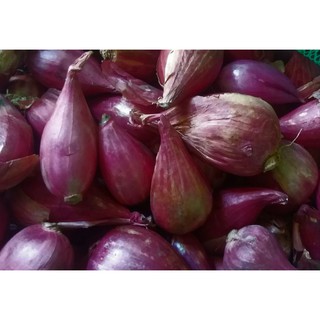HÀNH TÍM CHÍNH GỐC LÝ SƠN