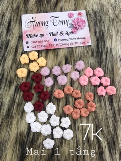 hoa bột nail, trang trí móng  hoa mai ( 7k/1b)