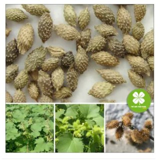 Ké đầu ngựa (gói 1kg) - NDX172