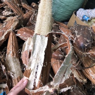 Xơ mướp tắm