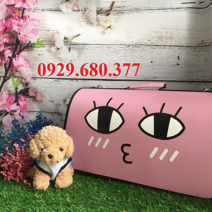 Túi Xách Di chuyển Chó Mèo Dễ Thương - PetSaigon