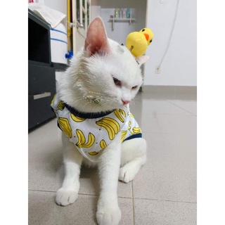 Kẹp hình con vịt, con gà cho thú cưng