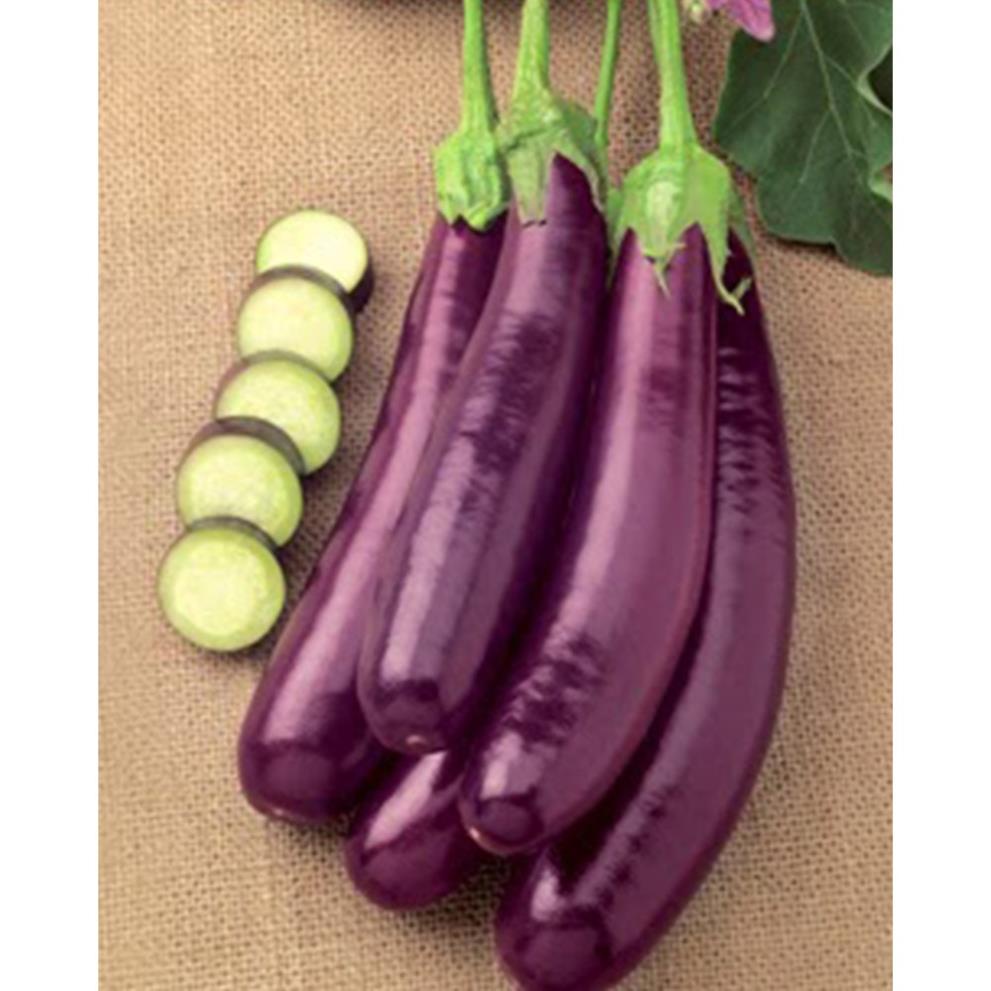 (2Gam) Hạt giống cà tím F1 quả dài CALI cây khỏe, cho trái nhiều